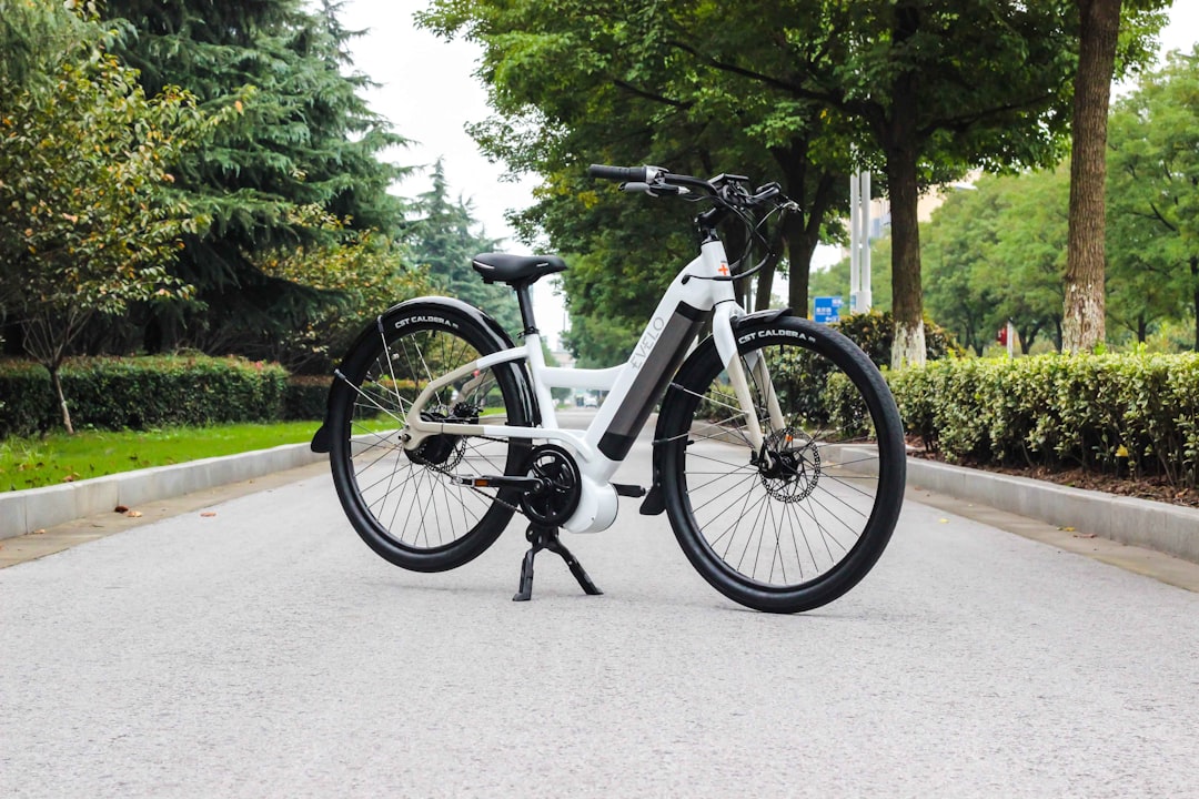 découvrez l'univers des vélos électriques : une solution écologique et pratique pour vos déplacements quotidiens. profitez d'une conduite aisée, d'une autonomie accrue et d'un design modernisé. explorez nos modèles variés et trouvez celui qui vous convient le mieux pour allier confort et performance.