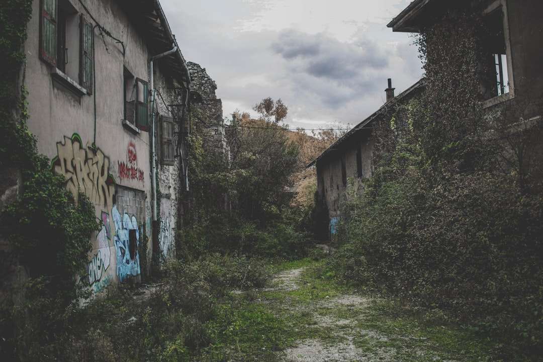 découvrez l'univers fascinant de l'urban exploration : des lieux abandonnés aux bâtiments historiques, plongez dans l'aventure d'une exploration urbaine inédite. capturez des instants uniques et vivez des expériences mémorables au cœur des sites méconnus.